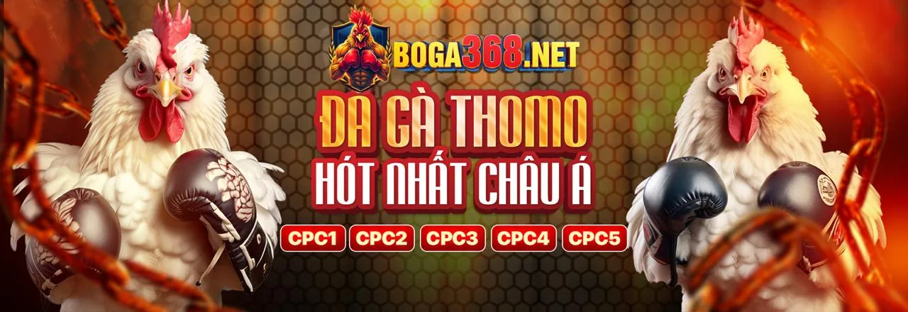 Giải thích cookie trên nền tảng 79sodo chính thức